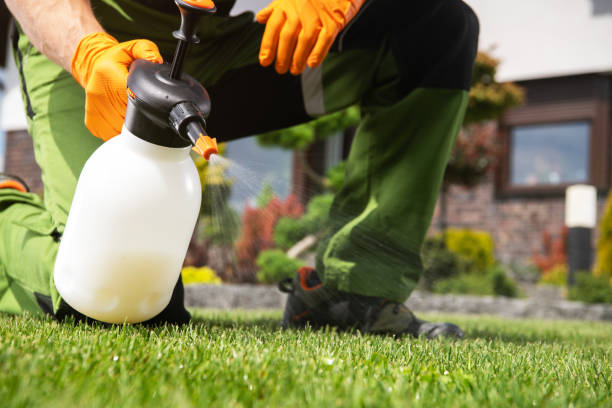 Best Pest Inspection Near Me  in Jenks, OK