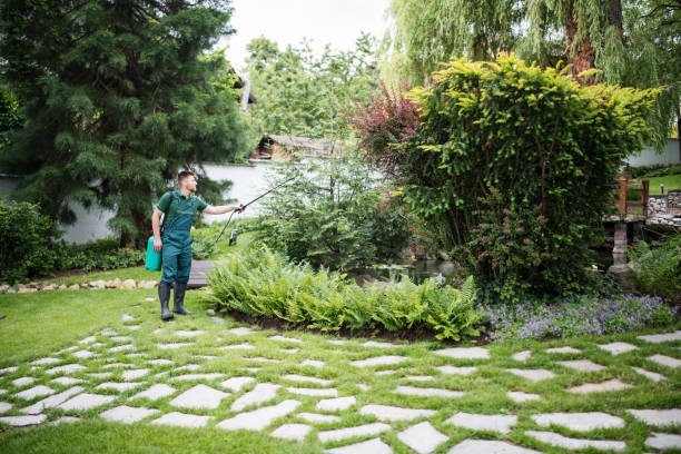 Best Affordable Pest Control Services  in Jenks, OK