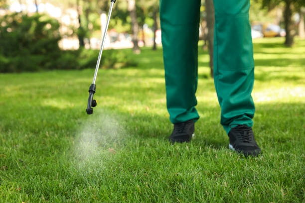 Best Bed Bug Extermination  in Jenks, OK