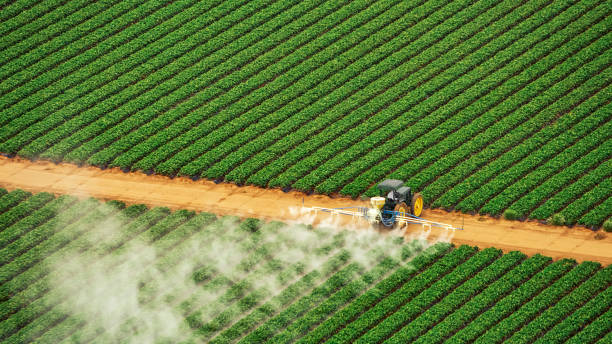 Professional Pest Control in Jenks, OK