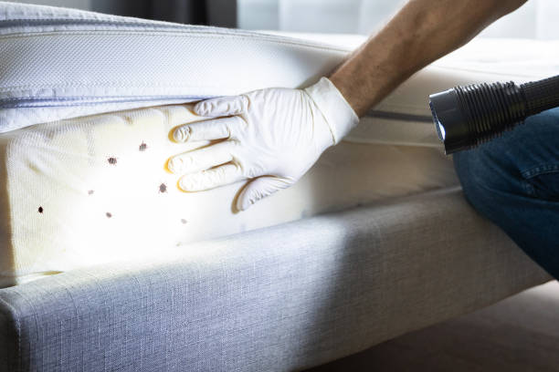 Best Commercial Pest Control Services  in Jenks, OK